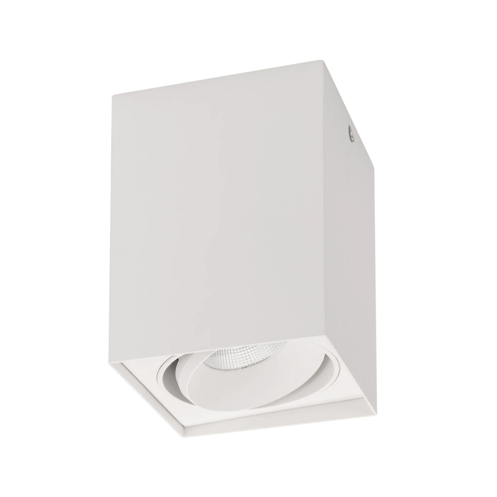 Светильник SP-CUBUS-S100x100WH-11W Day White 40deg (Arlight, IP20 Металл, 3 года) - Изображение